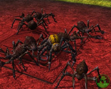 metin-2-sd1spder_dungeon1pok_kazi.jpg